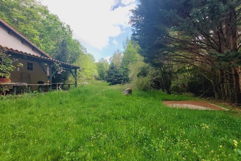 Gite Rustique - Perigord Vert - La Collina 24300 Abjat-sur-Bandiat エクステリア 写真
